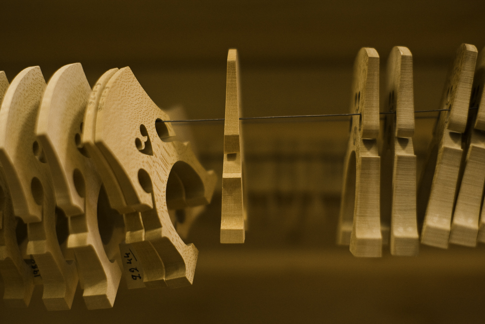 violinshop_bysarahtew05
