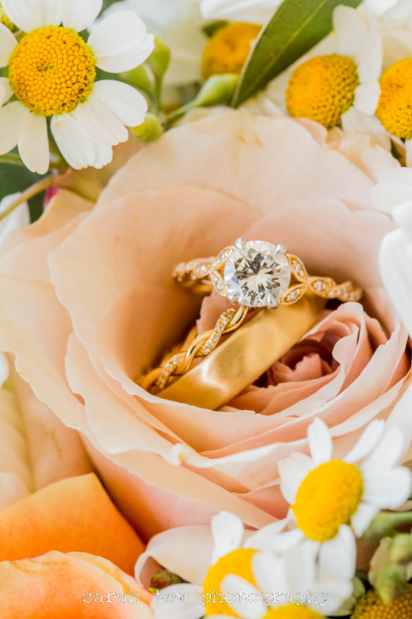 Sarah Tew Wedding and Portrait Photography