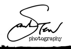 sarah tew photography logo